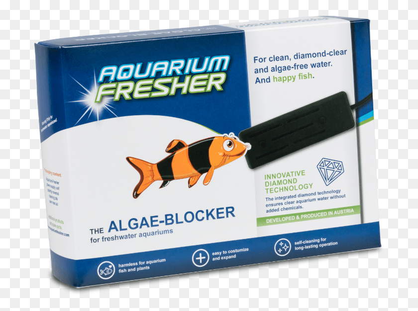 706x566 Large For Aquarium Up To 500 L Pomacentridae, Fish, Animal, Poster HD PNG Download