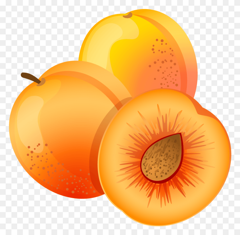 910x887 Large Painted Apricot Clipart Apricot Clipart, Plant, Fruit, Food HD PNG Download