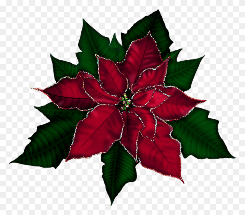 901x784 Large Poinsettia Picture Clip Art Poinsettia Free, Leaf, Plant, Ornament HD PNG Download
