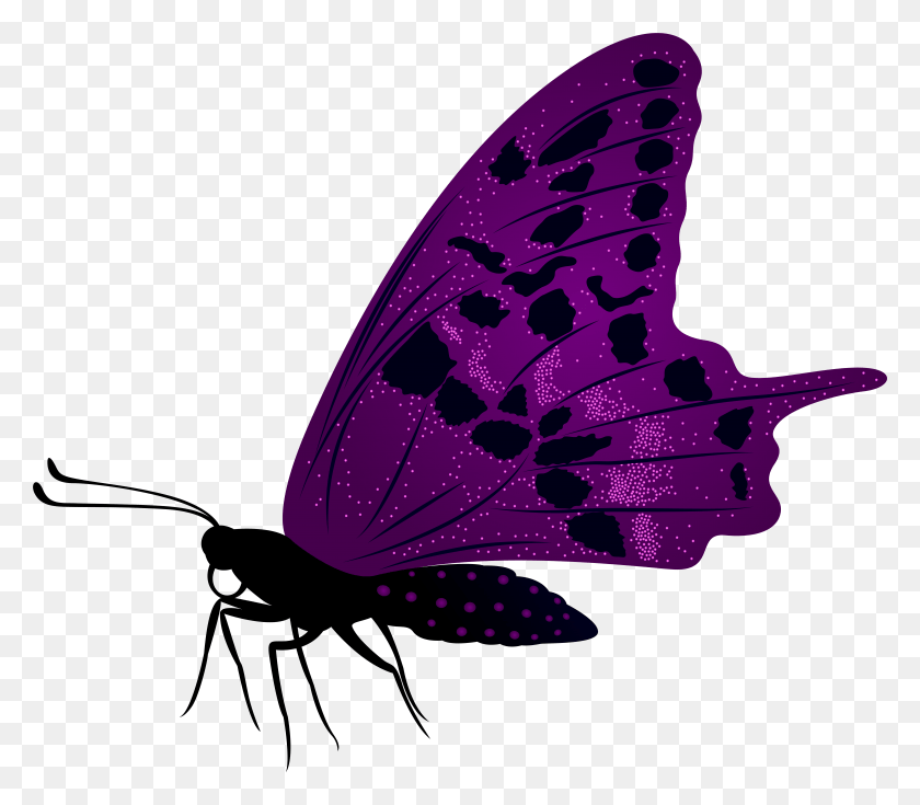 7696x6660 Mariposa Púrpura Grande Clip Art Image, Insecto, Invertebrado, Animal Hd Png Descargar