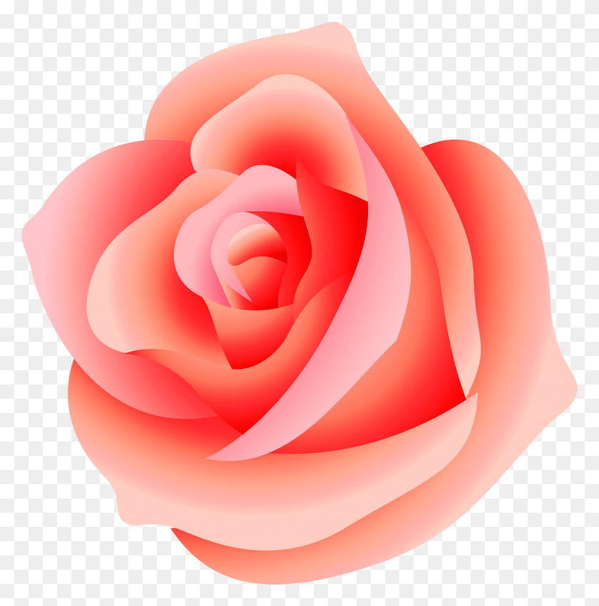 1899x1926 Large Rose Picture Peach Rose Clip Art, Flower, Plant, Blossom Descargar Hd Png