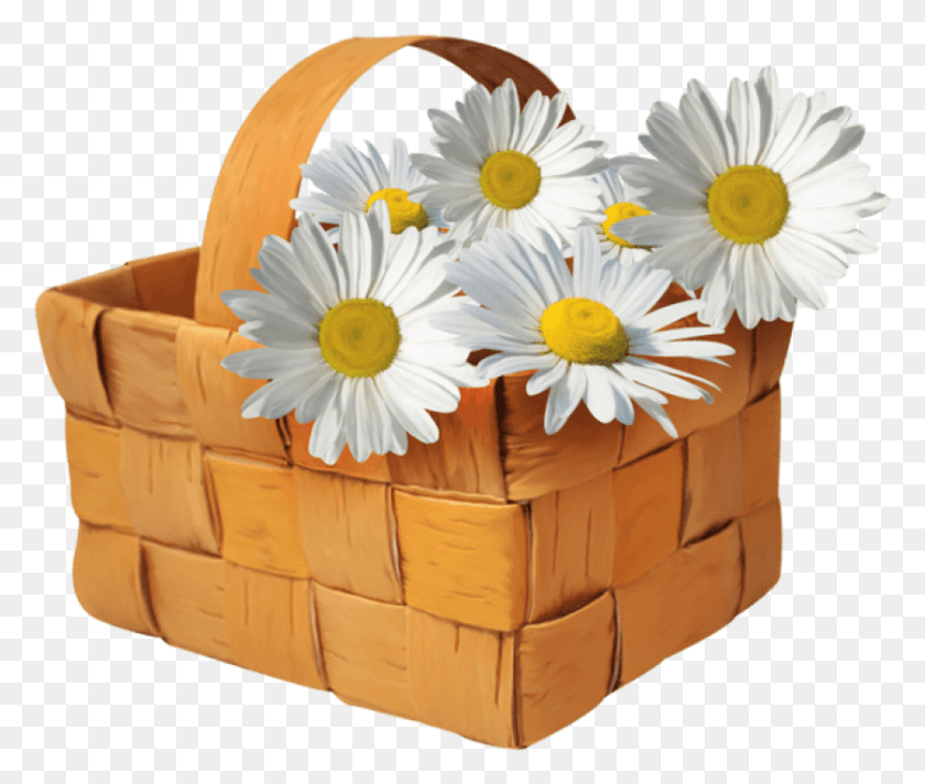 839x702 Large Transparent Basket With Daisies Daisy Flower In Basket, Plant, Blossom, Box HD PNG Download