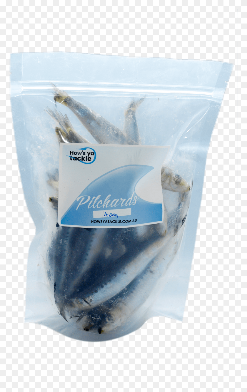 2234x3649 Large Wa Iqf Pilchards Fish HD PNG Download