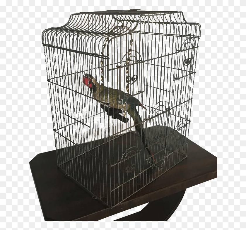 643x726 Large Wire Birdcage Cage, Iguana, Lizard, Reptile Descargar Hd Png