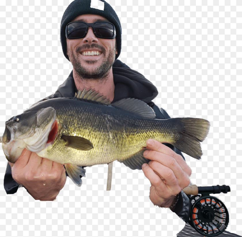 1227x1200 Largemouth Bass, Accessories, Sunglasses, Animal, Sea Life Transparent PNG