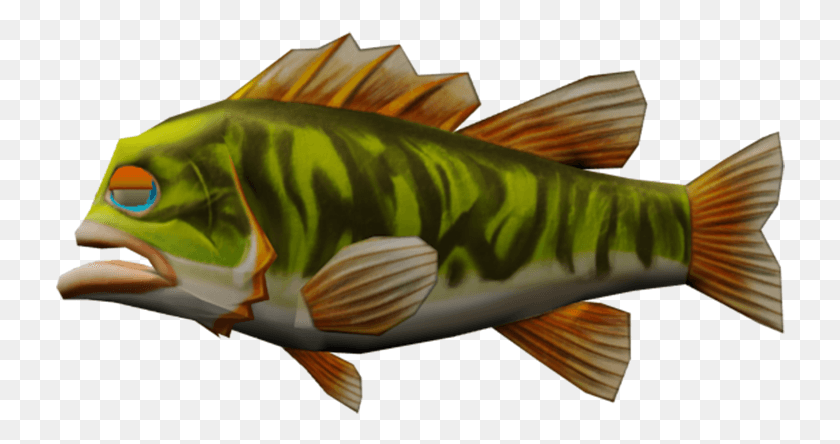 730x384 Largemouth Bass Pomacentridae, Perch, Fish, Animal HD PNG Download