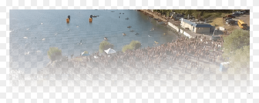 1281x450 Largest And Longest Running Open Water Swim Sand, Person, Bird, Crowd Descargar Hd Png