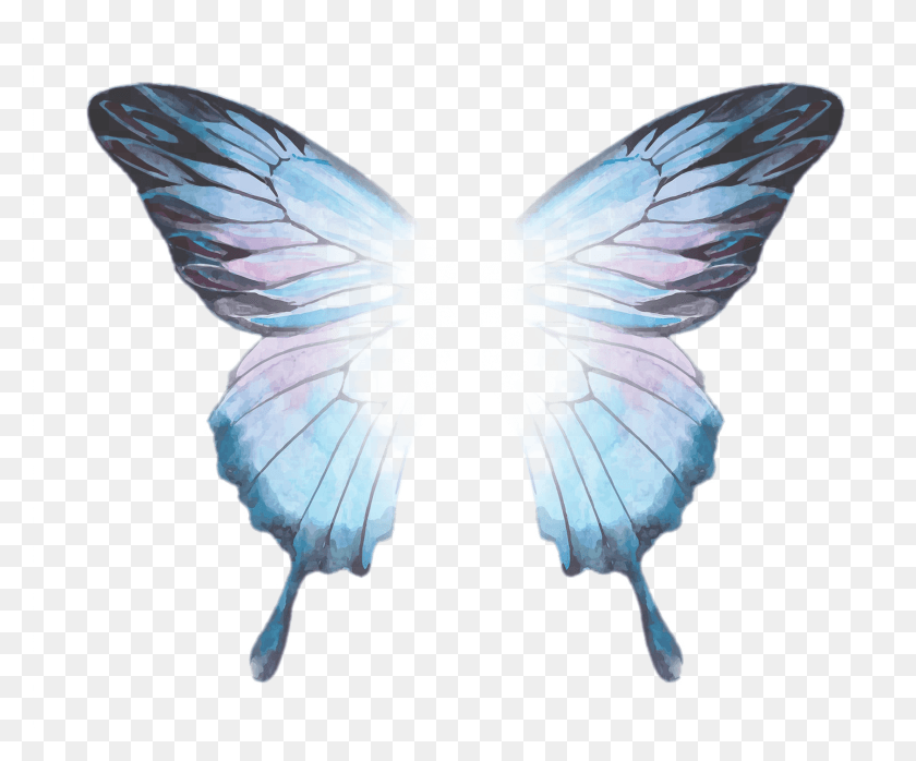 1685x1380 Largest Collection Of Free To Edit Butterfly Stickers, Bird, Animal, Insect HD PNG Download