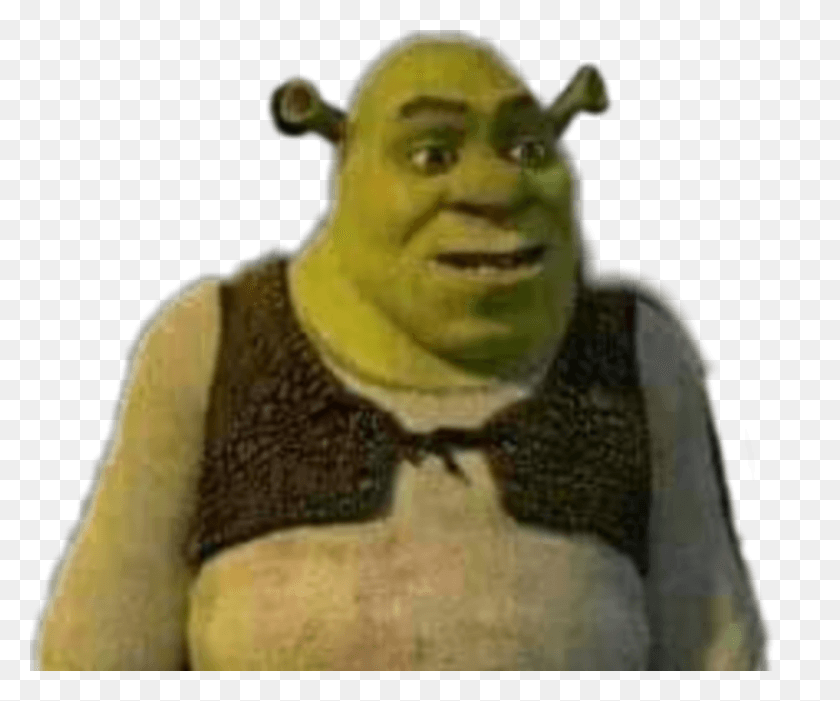 1312x1079 Largest Collection Of Free To Edit Shrek Face Stickers Shrek And Prince Charming, Person, Human HD PNG Download