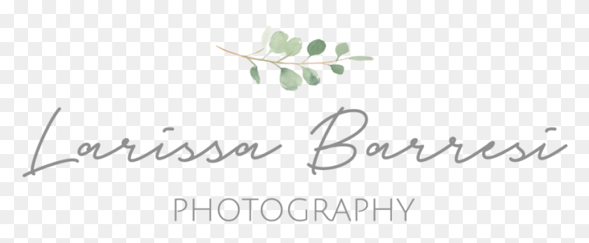 913x337 Larissa Barresi Photography Calligraphy, Text, Plant, Handwriting HD PNG Download