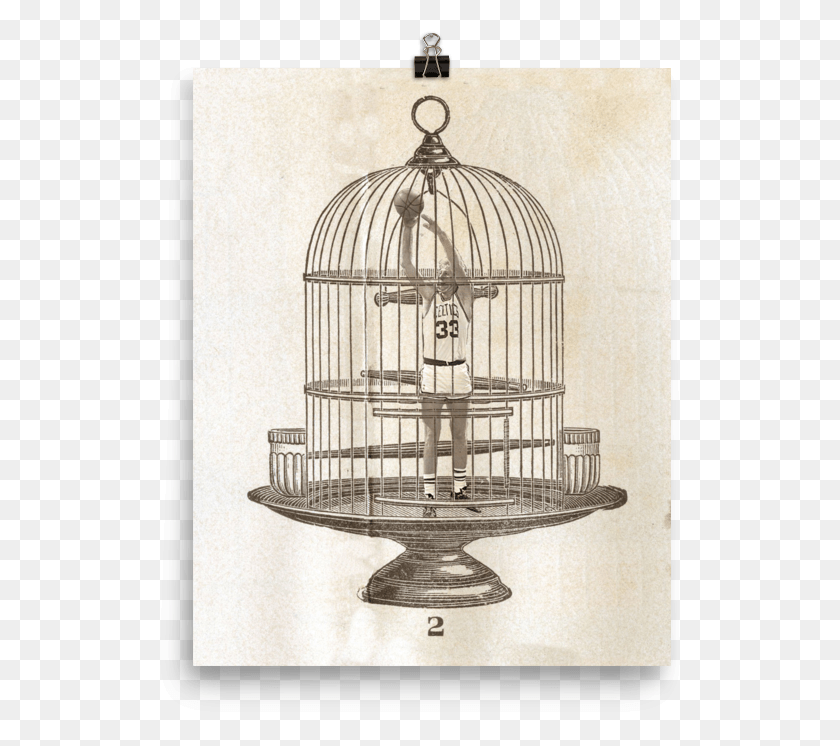 529x686 Larry Bird In A Cage By Johnny Hollick, Lamp, Home Decor, Bird Feeder HD PNG Download