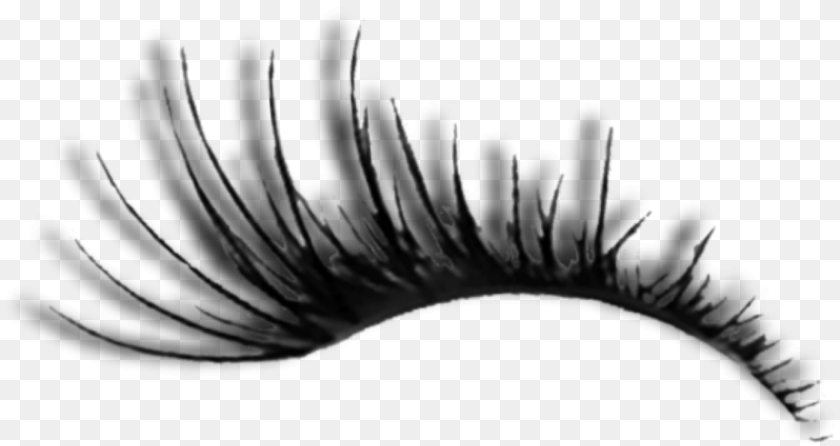 1399x742 Lashes Eye Makeup Cool Face Mascara, Nature, Night, Outdoors, Plant Clipart PNG