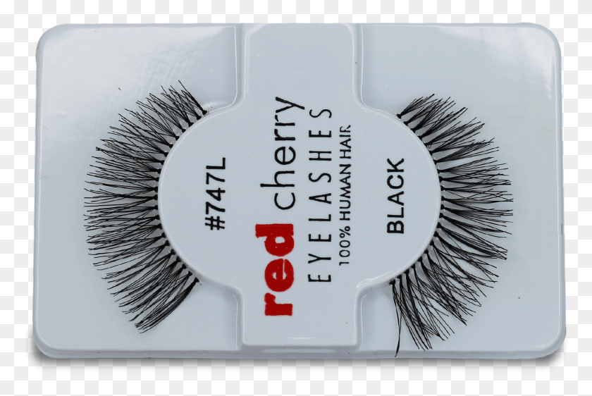 1609x1036 Lashes Eyelash Extensions, Label, Text, Symbol HD PNG Download