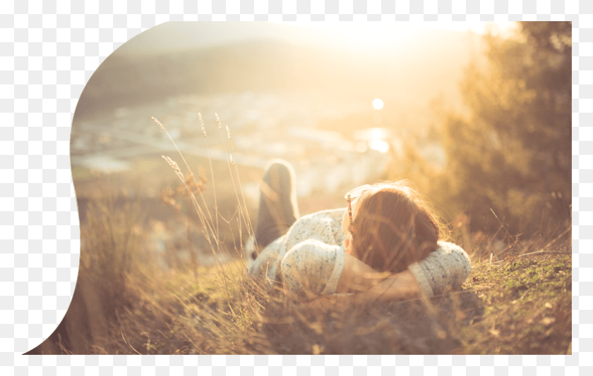 785x478 Last Time Alone, Grass, Plant, Sunlight HD PNG Download