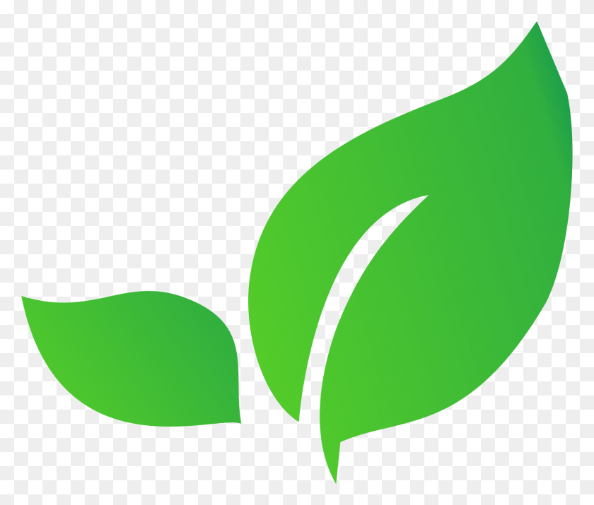 Latest News, Green, Leaf, Plant HD PNG Download