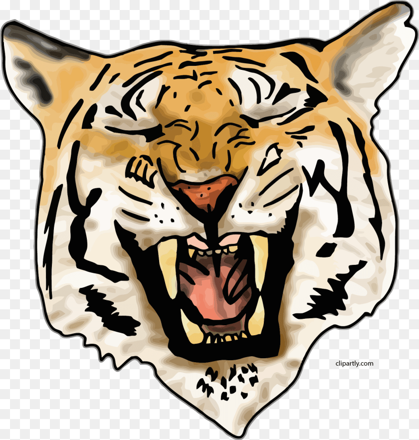 1477x1550 Laugh Tiger Face Clipart, Animal, Mammal, Wildlife, Canine Transparent PNG