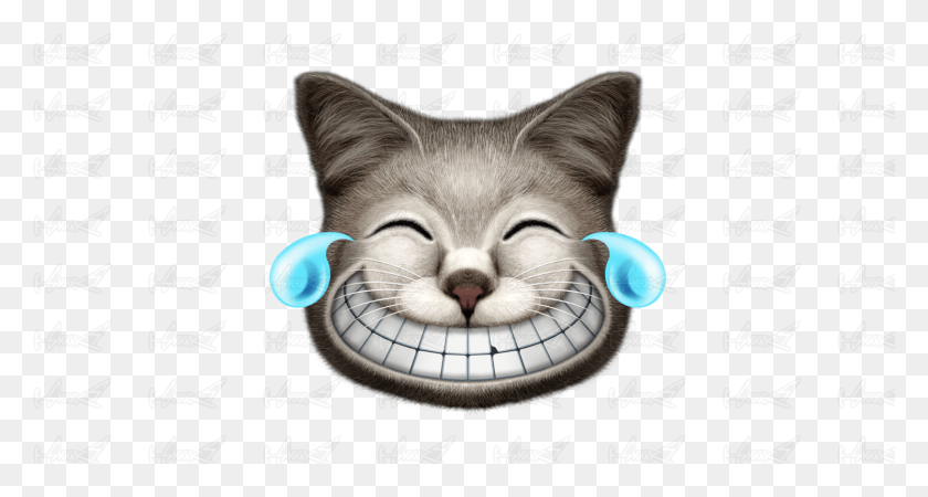 1500x750 Laughing Cat Cat, Pet, Mammal, Animal HD PNG Download