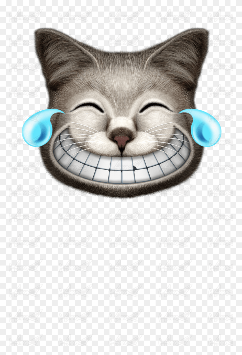 900x1350 Laughing Cat Laughter, Text, Pet, Mammal HD PNG Download
