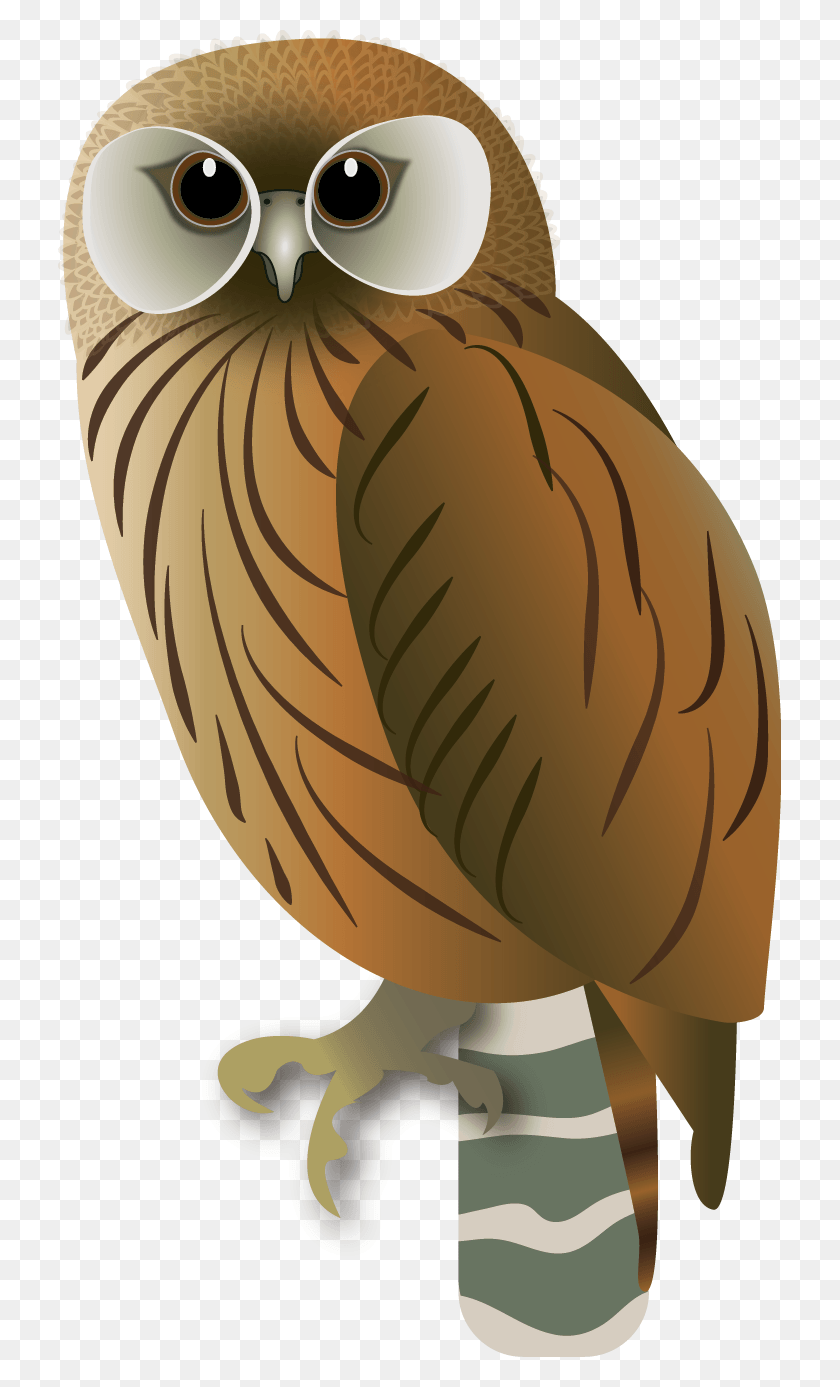 723x1327 Laughing Owl, Plant, Seed, Grain HD PNG Download