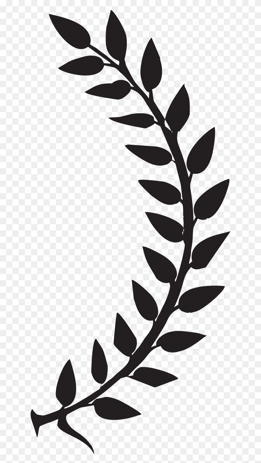 645x1427 Laurel Leaves Right 01 Crown Of Leaves, Plant, Leaf, Acanthaceae HD PNG Download