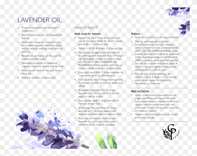 795x619 Lavender, Plant, Flower, Blossom HD PNG Download