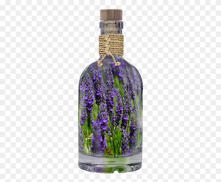 253x631 Lavender Bottle Plant Spring Purple Nature Field Using Lavender, Flower, Blossom, Lilac HD PNG Download