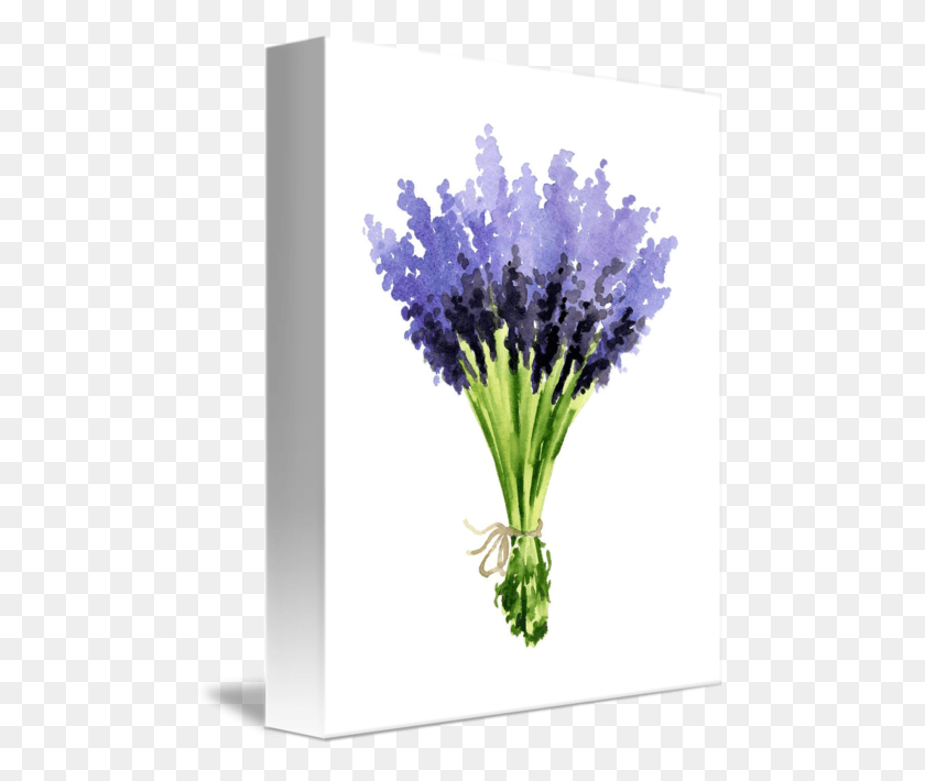 481x650 Lavender Bouquet Bouquet, Plant, Flower, Blossom HD PNG Download