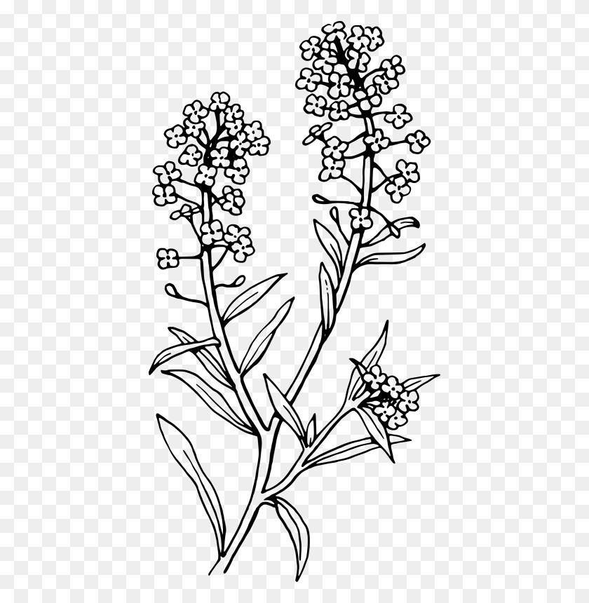 416x800 Lavender Clipart Black And White, Gray, World Of Warcraft HD PNG Download