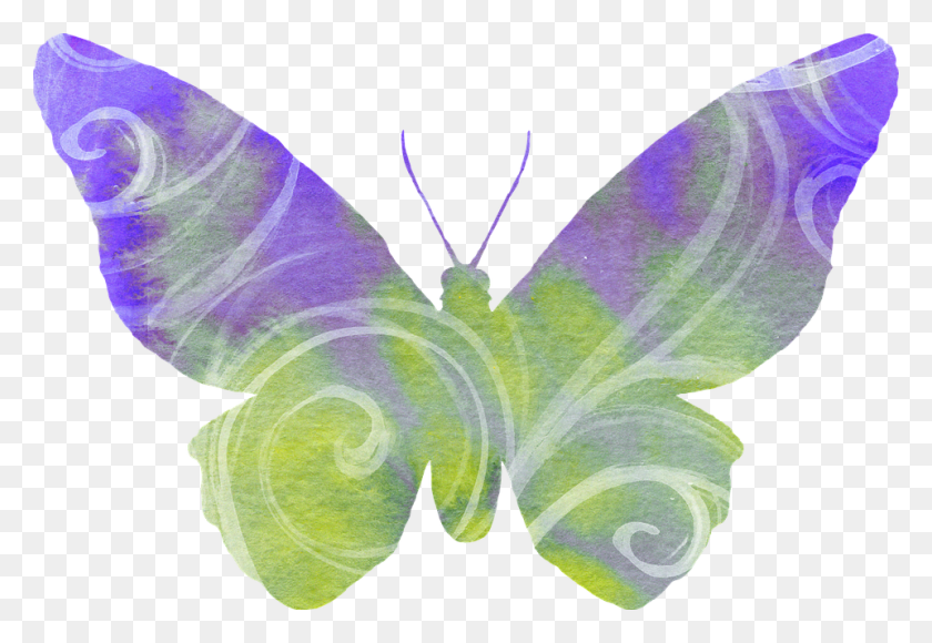 960x640 Lavender Clipart Butterfly Free Butterfly Transparent Background, Moth, Insect, Invertebrate HD PNG Download