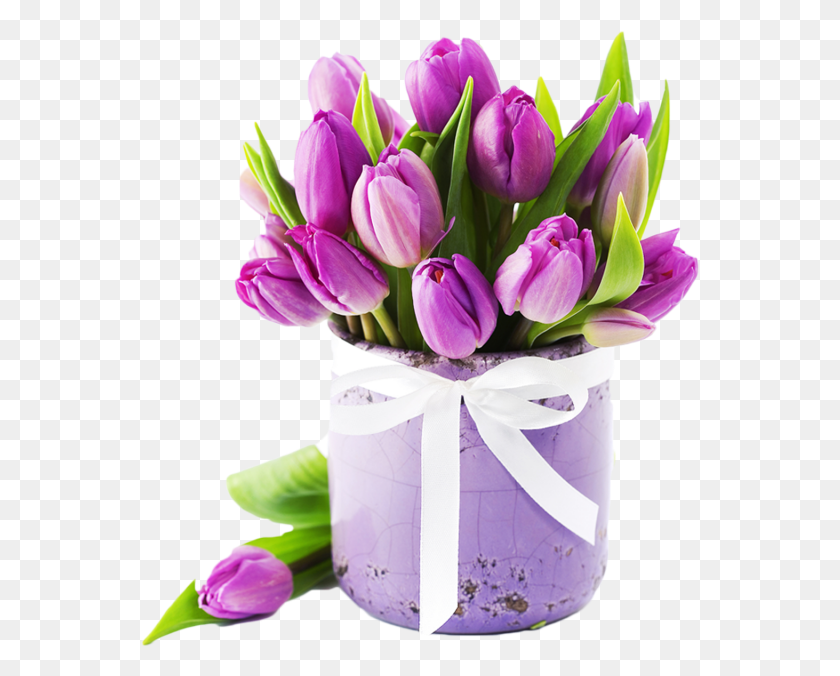 558x616 Цветок Лаванды Цветок Коробка Тюльпан, Растение, Цветок, Цветочная Композиция Hd Png Скачать