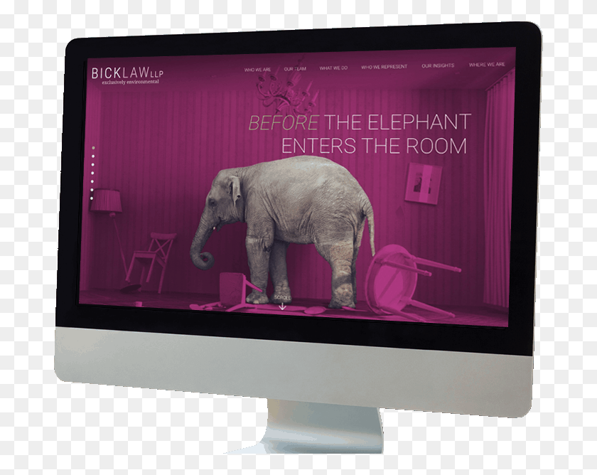688x608 Law Firm Portfolio Computer Monitor, Elephant, Wildlife, Mammal HD PNG Download