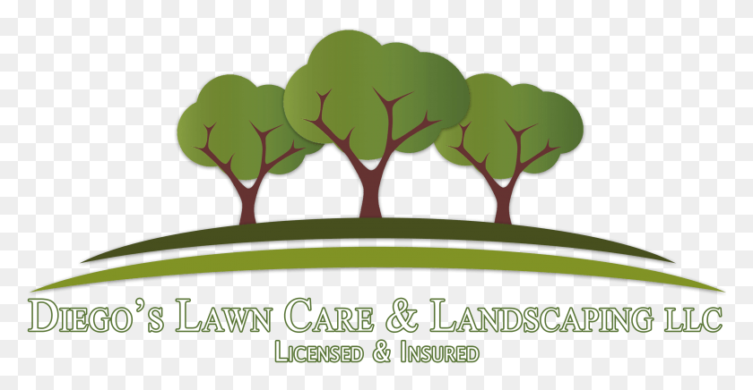 2962x1428 Lawn Care Amp Landscaping 3 Tree Logo, Label, Text, Vegetation HD PNG Download