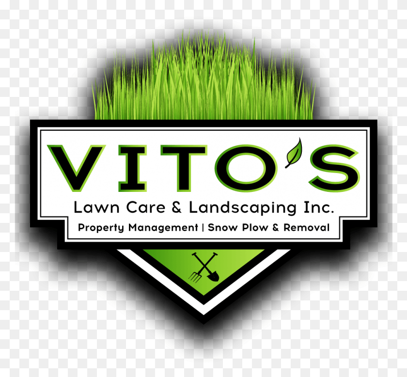 1001x922 Lawn Care Ampamp Vito39s Lawn Care, Vegetation, Plant, Green HD PNG Download