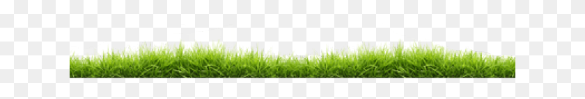 641x83 Lawn Clipart Grass Line Lawn, Green, Plant, Field HD PNG Download