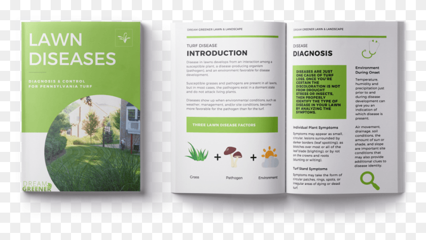 1015x540 Lawn Disease E Book Calm And Carry On Poster, Flyer, Paper, Advertisement HD PNG Download