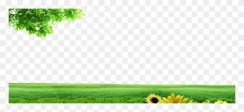 950x400 Lawn Energy Grassland Wallpaper Spring Green Image Nature Background Images, Plant, Grass, Flower HD PNG Download