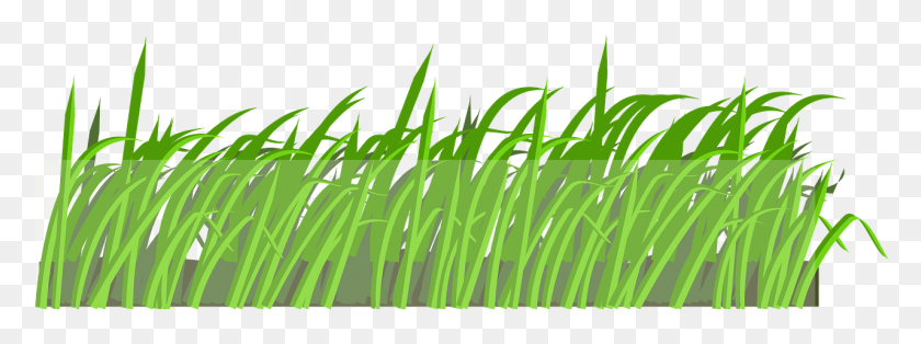 1279x417 Lawn Field Grass Landscape Image Wind Blowing Grass Clipart, Plant HD PNG Download