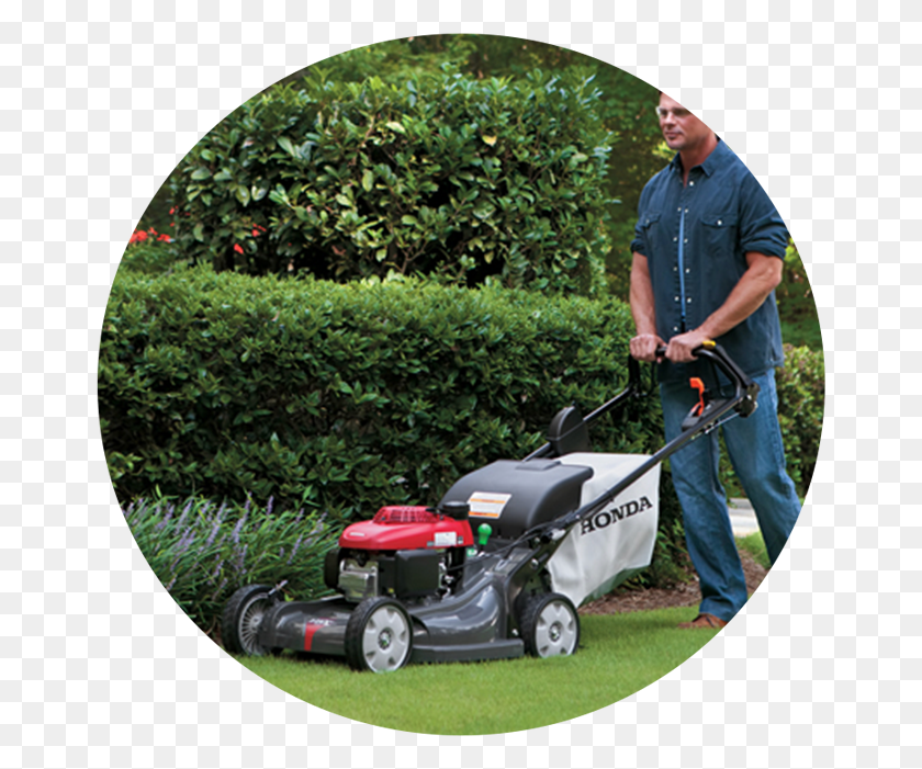 664x641 Lawn Mower Service Packages My Ct C Honda Hrj, Person, Human, Grass HD PNG Download