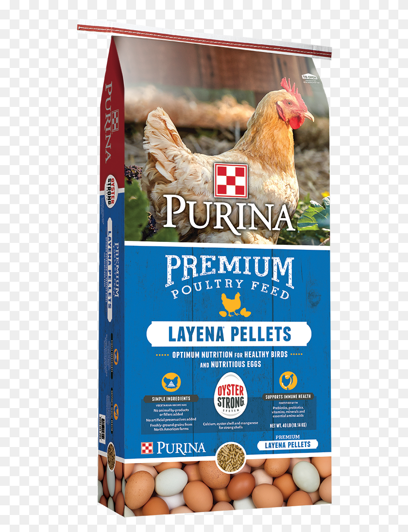 528x1035 Layena Pellets Oyster Strong Bag Poultry Amp Small Purina Layena Pellets, Chicken, Fowl, Bird HD PNG Download