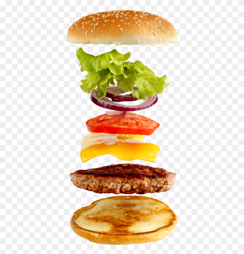 387x814 Layers Of A Hamburger, Plant, Bread, Food HD PNG Download