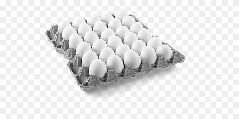 598x359 Lbs Egg With Tray, Food, Easter Egg HD PNG Download