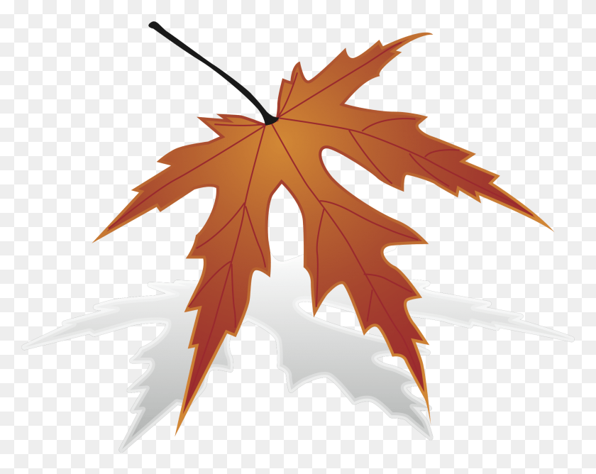2071x1616 Leaf Big Image Jap Maple Leaf Drawing, Plant, Tree, Maple HD PNG Download