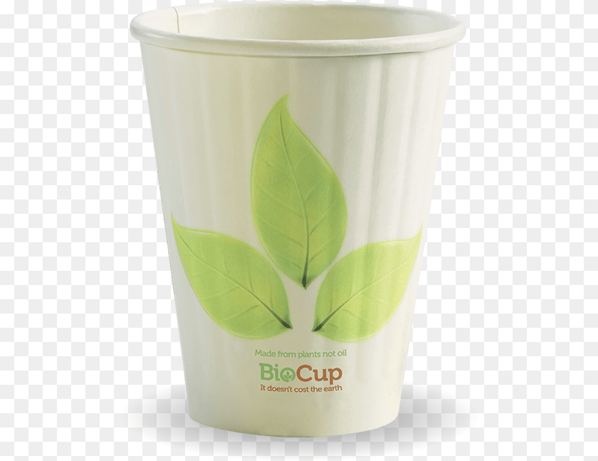 505x647 Leaf Biocup Cup, Plant PNG