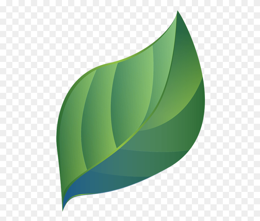 484x654 Leaf Blue Green Stylized Gradients Eco Bio Stylized Leaf, Plant, Veins, Photography HD PNG Download