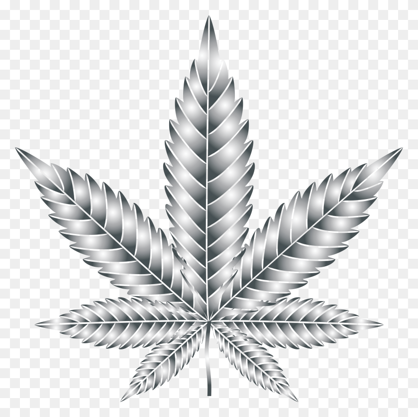 2310x2306 Leaf Cannabis Symmetry Silhouette Multiculturalism Illustration, Plant, Pattern, Aluminium HD PNG Download