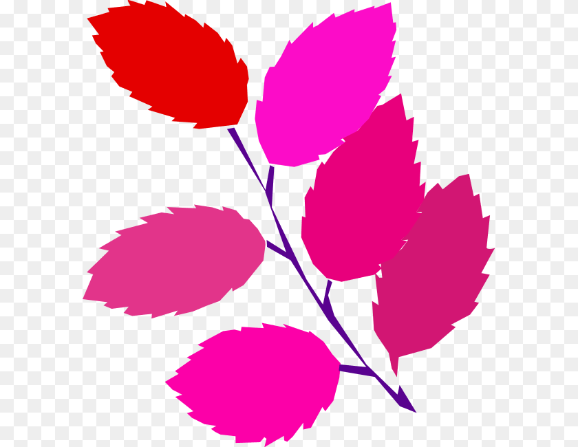 600x650 Leaf Clipart Pink Leaves, Plant, Person, Flower Transparent PNG