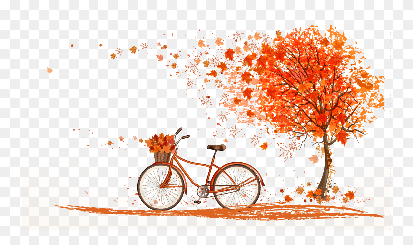 750x438 Leaf Color Tree Illustration Autumn Under Orange Clipart Autumn Bicycle, Vehicle, Transportation, Bike HD PNG Download
