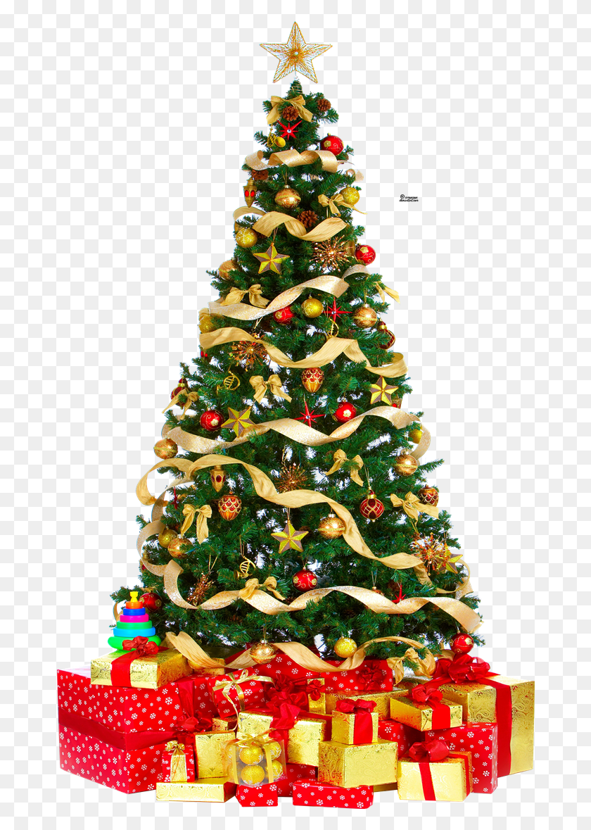 680x1119 Leaf Emoji, Tree, Plant, Christmas Tree HD PNG Download