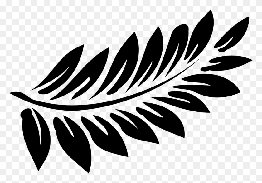 960x648 Leaf Fern Black Frond Fern Leaf Black And White, Gray, World Of Warcraft HD PNG Download