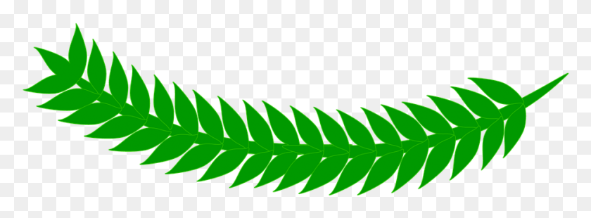 938x301 Leaf Grass Green Yaprak, Plant, Fern, Wood HD PNG Download
